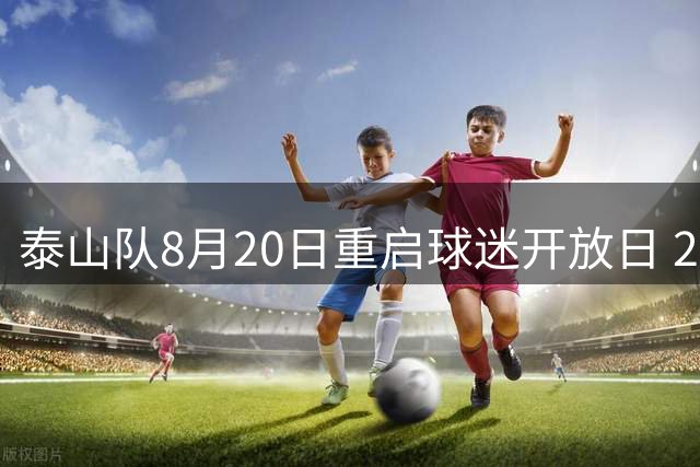 泰山队8月20日重启球迷开放日 220个名额等你来抢